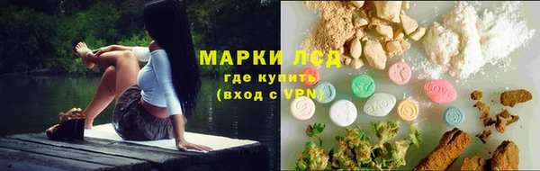 гидра Каменногорск
