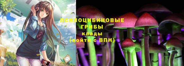 винт Каменск-Шахтинский