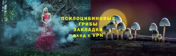 гидра Каменногорск
