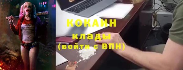 гидра Каменногорск