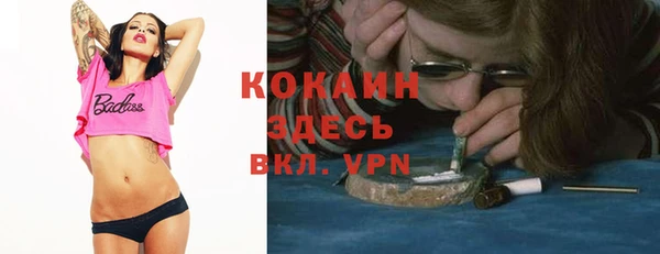гидра Каменногорск