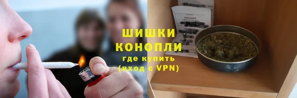 гидра Каменногорск