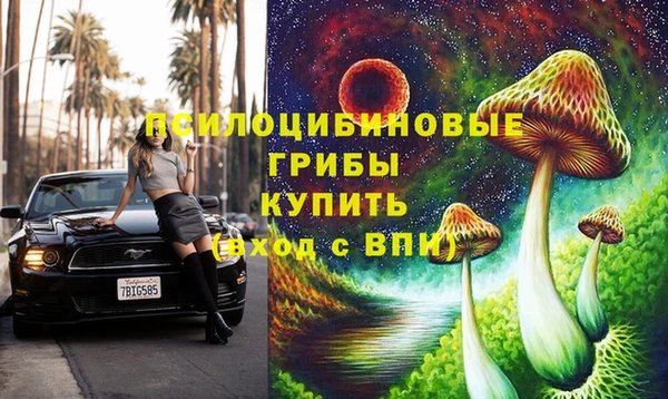 гидра Каменногорск