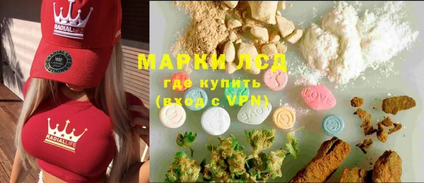 гидра Каменногорск