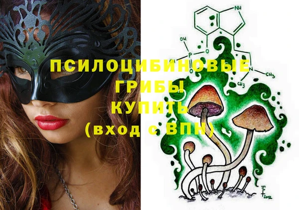 кокаин Каменка