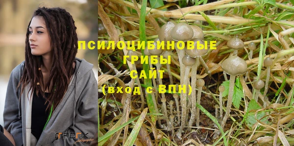 винт Каменск-Шахтинский
