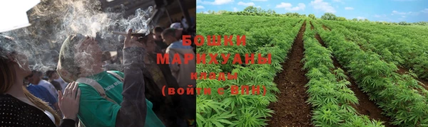 кокаин Каменка